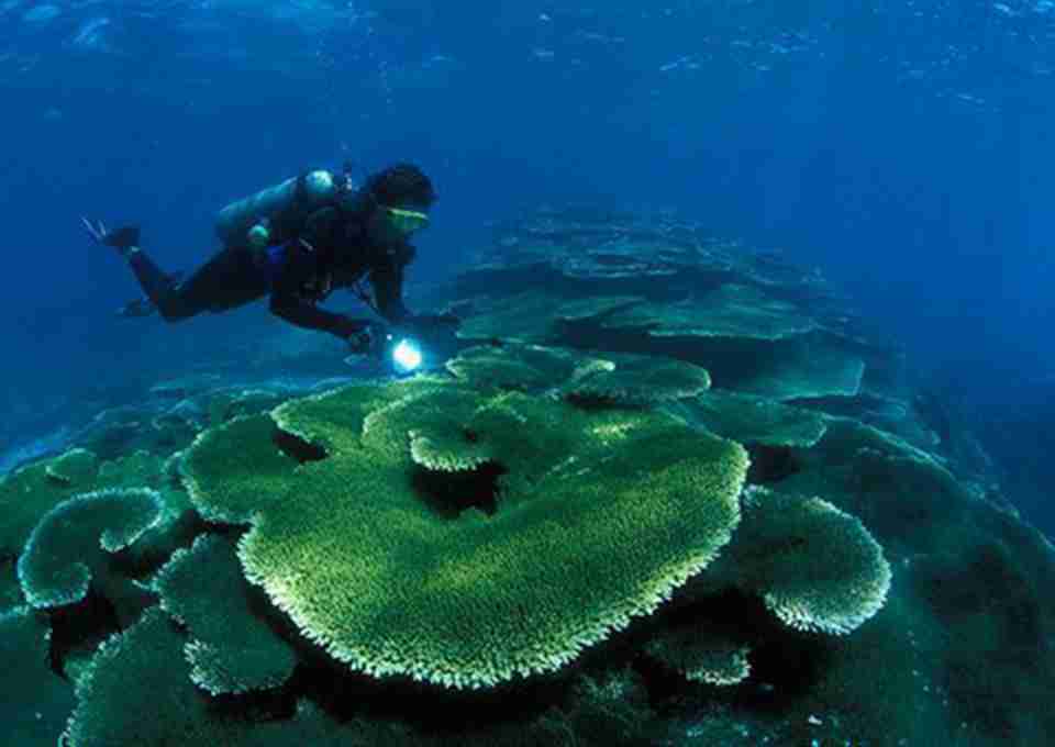 ������̽��ˮ����������뻷��