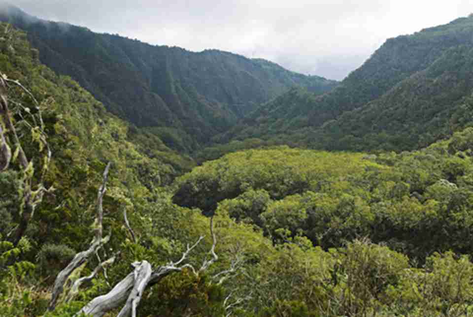 ������޴������������������