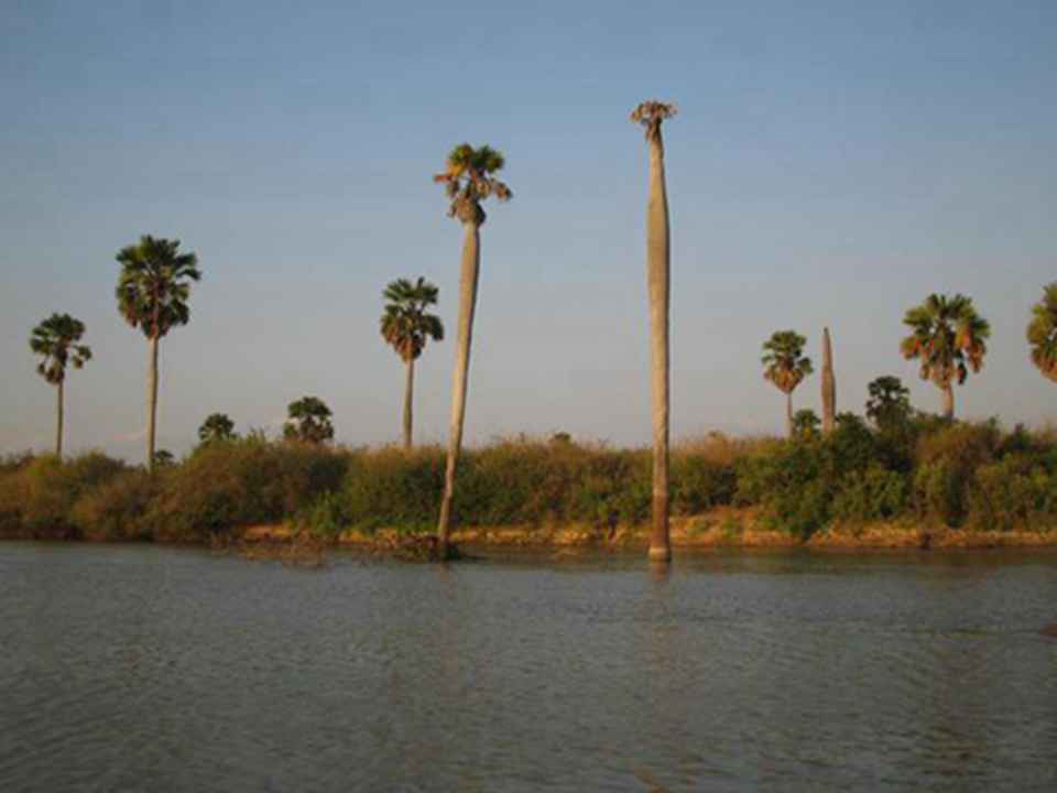 ��¬˹�������Ƿ��޵ĵڶ��������