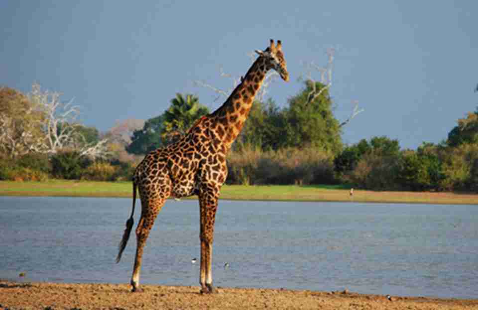 ³�Ƽ��ӱ���������ݵ�������ĳ���¹