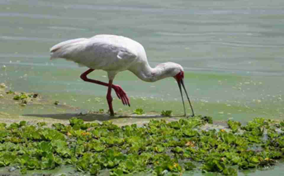 ���ﻹ�зḻ��������Դ������Բ�Ѽ��Ϭ��Ͷ�β��