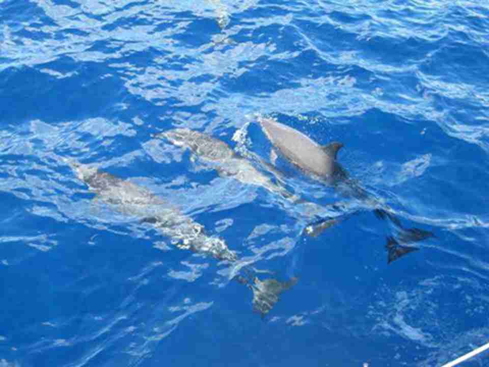 ������������裳�û�������ϻ��ܿ���������캽������Ӱ