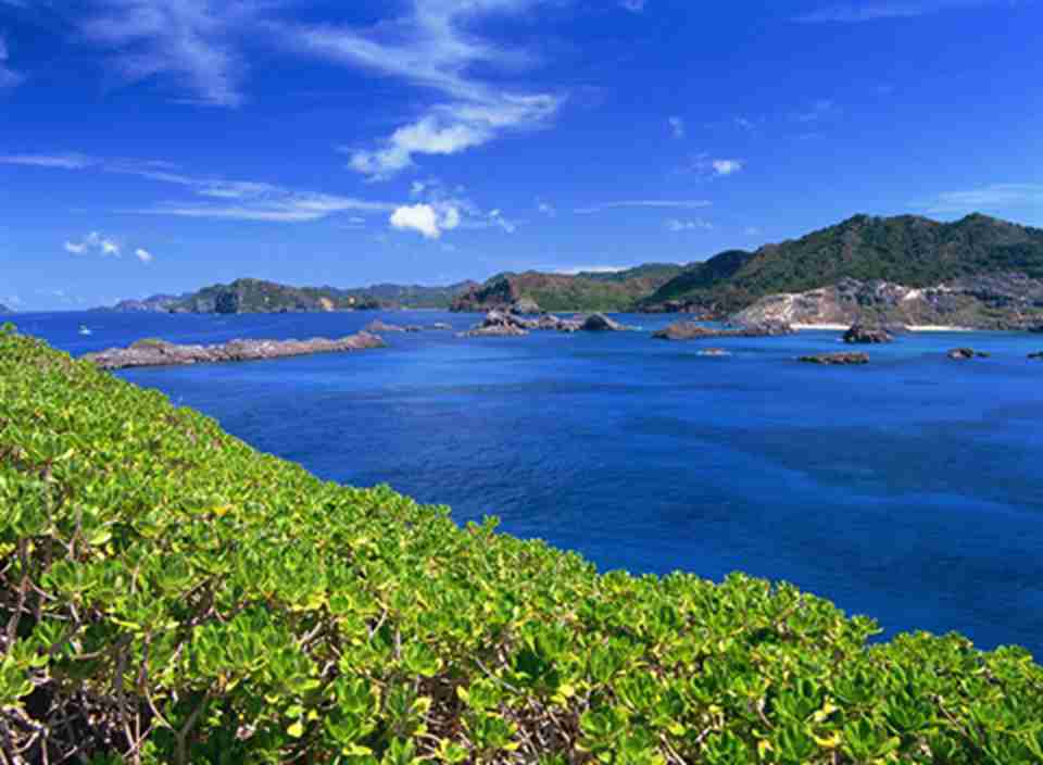 С��ԭȺ��λ̫ƽ�����������ණ��Լ1200����