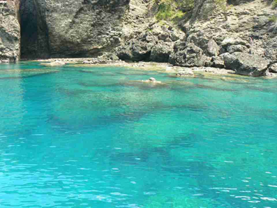 С��ԭȺ����ư�쵺���ϵ���ƽ�������ĺ�ˮ�峺͸��