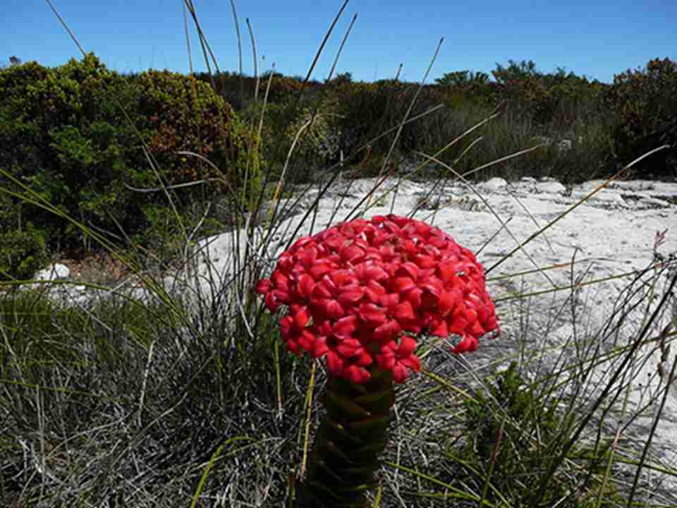 �����ն�����������ֲ������Եĵ䷶