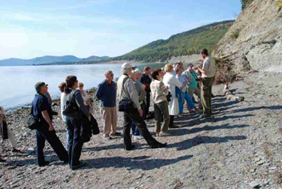 �׹�ɯ��԰�������ʱ���������Ļ�ʯ��ַ