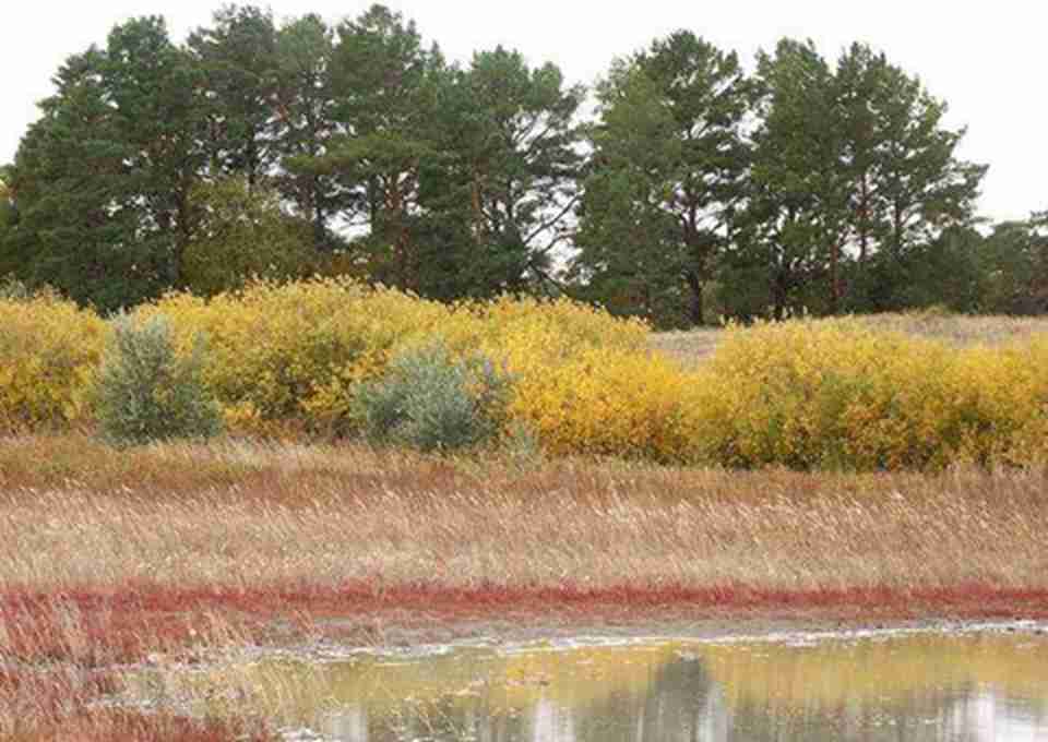 ���������ض�Ǩ��ˮ��ǳ���Ҫ����������Ϣ���ܵ�ʪ��