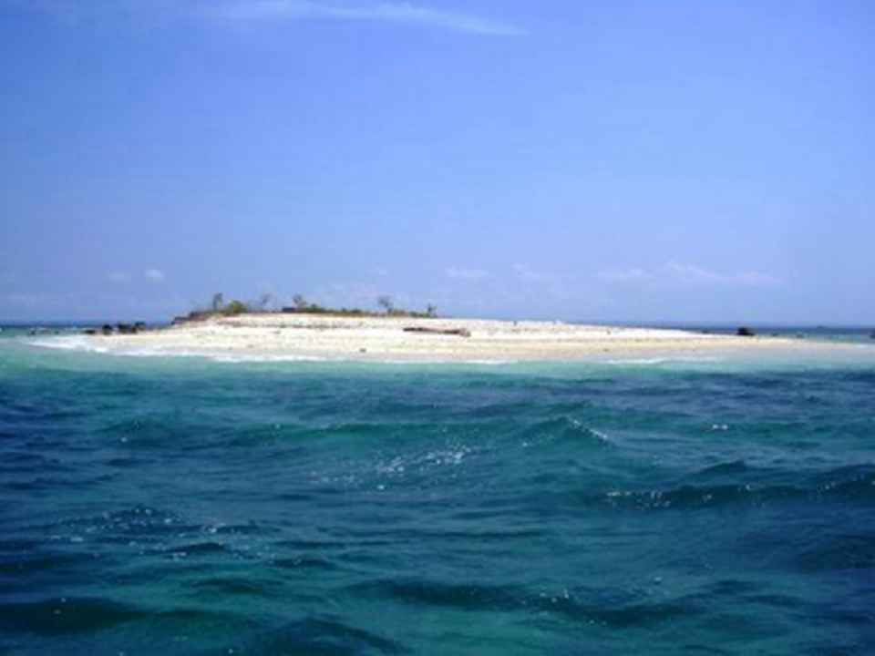 ���ָ�������ҹ�԰������ӡ��������צ�۰뵺�����ϲ�