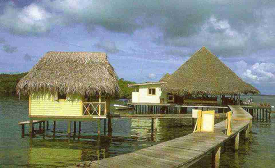 ���Լ��1��ӡ�ڰ�����������Ȼ��������