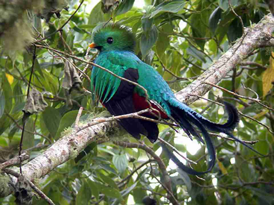 ����ȺҲͬ�����廨���ţ�Ӧ�о���