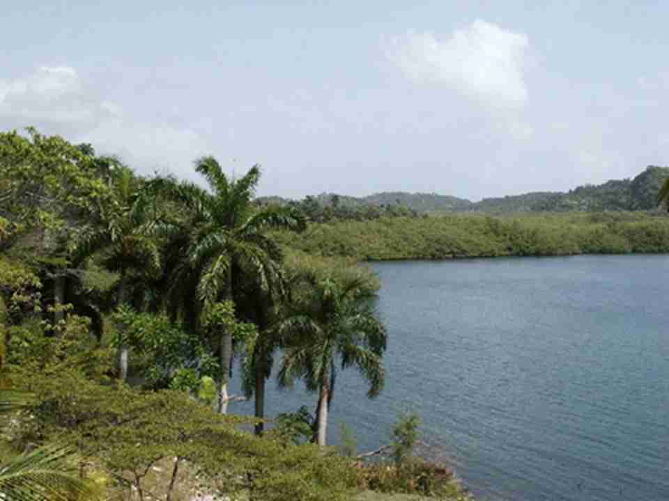 ������޵º������¹��ҹ�԰����Ϊ���ڹŰ��ʪ�ĵط�