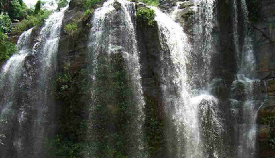 ������ĵ�ɣ�Ͷ��ƹ�԰����ʷ�ǳ��ƾ�