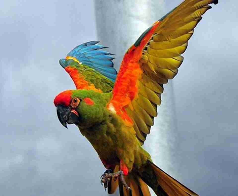 ɣ�ǹ��ҹ�԰�ڶ������෱��