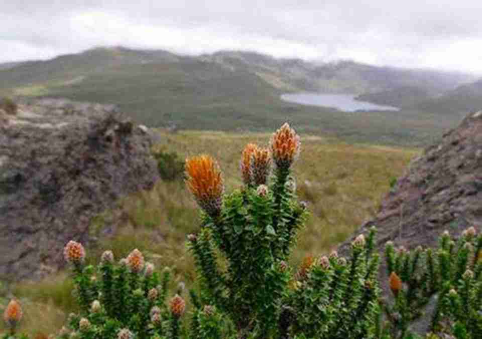 ɣ�ǹ��ҹ�԰���������о�����ִ�����ѵ���