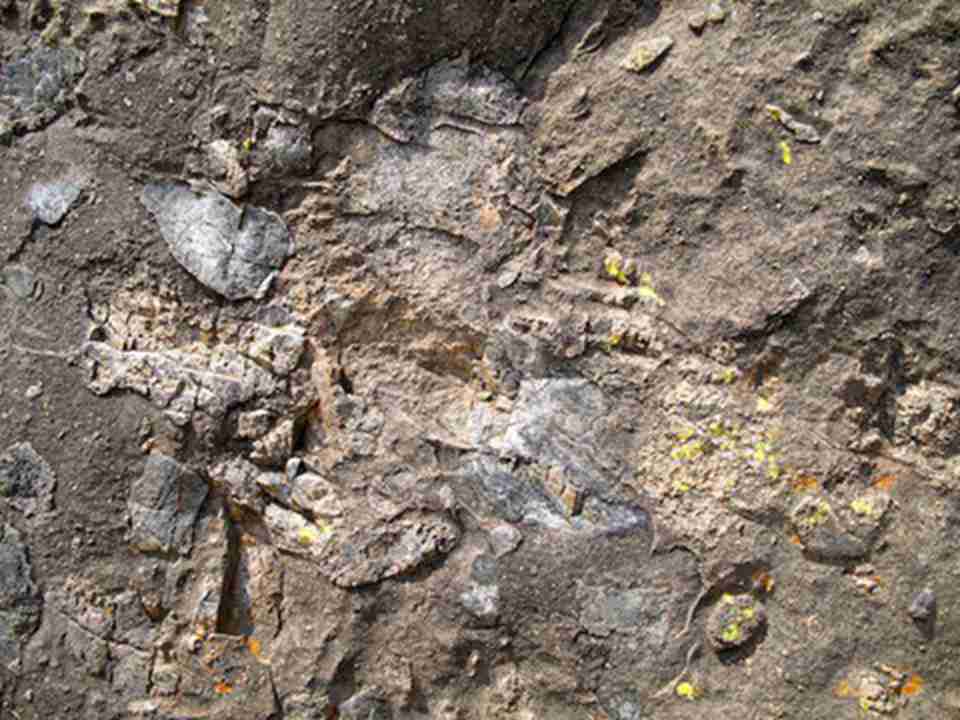 ����±���ʯ����Ŀǰ��������ȷ����޴��ײ���ṹ