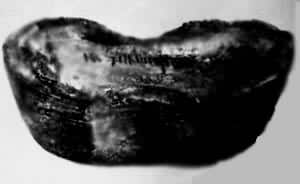 �������������������