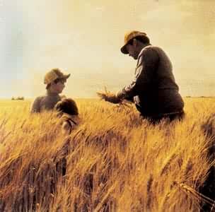 �ÿ���˹��С����أ�������