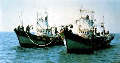 ̨�庣Ͽ�泡�����ﺮů�����㡢����Ⱥ��