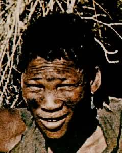 ���޵�������