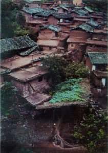 ����������ũ�����