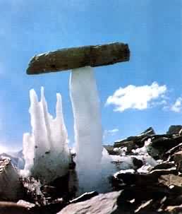 �����޲�������Ģ�����й���