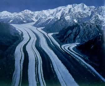 ����˹�ӱ�����������