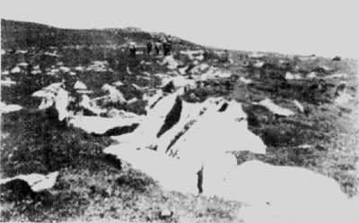 ͼ1������ʯ----ʯ�����й���̨ɽ��̨����������2980�ף�