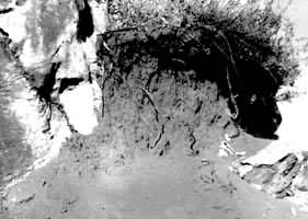 ʯ�����Ϸ����ĺ�ɫʯ�������棨����ʡ�����н���ʯ�ֵ�����