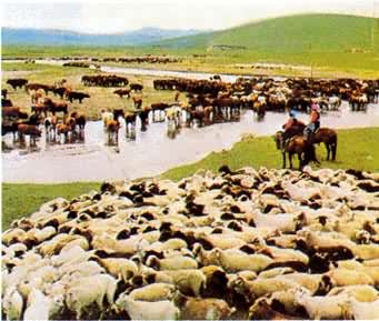 内蒙古牧区（中国）