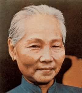 ���޵�������