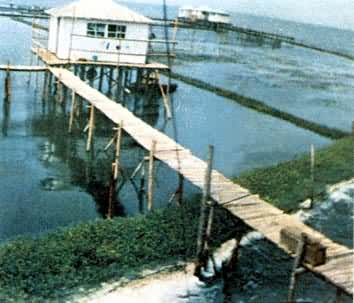 �й���ѧԺ̫���۲�վ