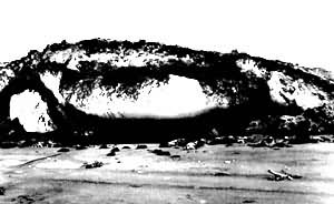 ͼ3�����ô󱱼����������𣨳�90�ס���7��10��