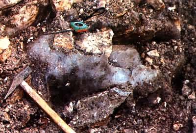 ��������ɽ������϶�����й���