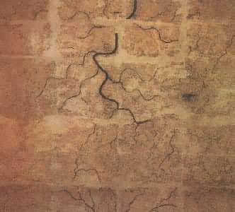 �����ѳ�����������ͼ