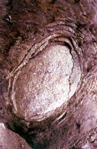 ̨ɽ��������״�绯���й��㶫��