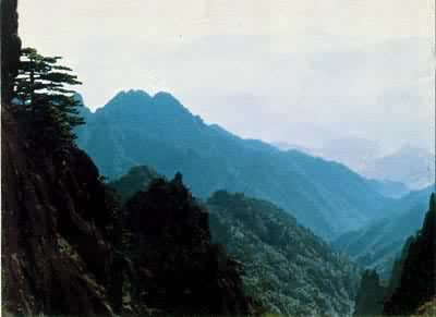 ֲ��������ã��й���ɽ��