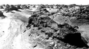 ���ľ���һ��ƺ�ŵ����Σ���ʴ���գ�