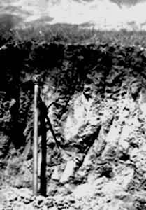 ��ɽ��ԭ�����棨�½���ɽ���£�