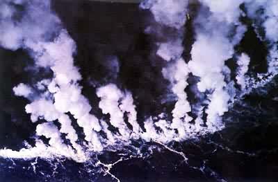 ������ɽ����