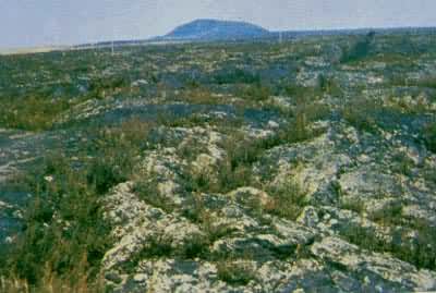 ����������ҵ�ò���й���