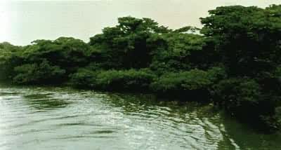 ���ϵ���կ�ۺ����ֺ������й���