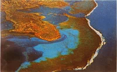 ���������ǻ���