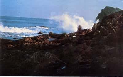 ������ʴ�£��й���