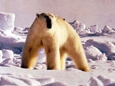 ���������ﱱ���ܣ���������