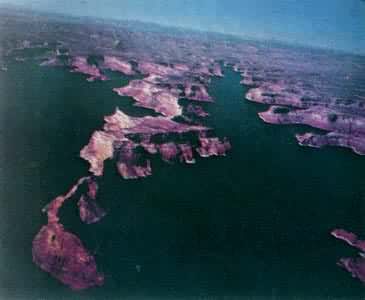 �������������������ݣ�