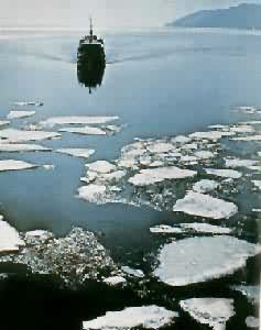 ���ֽ���ı��Ӷ�����������