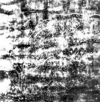 ������ͼ��