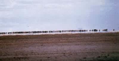 ɳĮ������¥(����������)