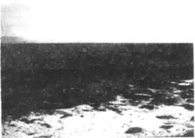 ͼ1���й��½�۷����������