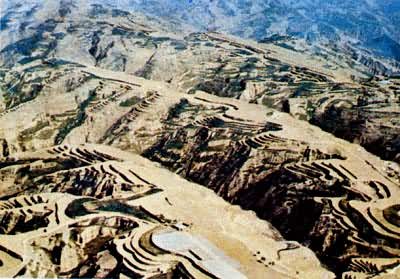 ɽ�����ֻ�����(�й�)